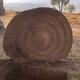 A disc decorated with concentric rings.